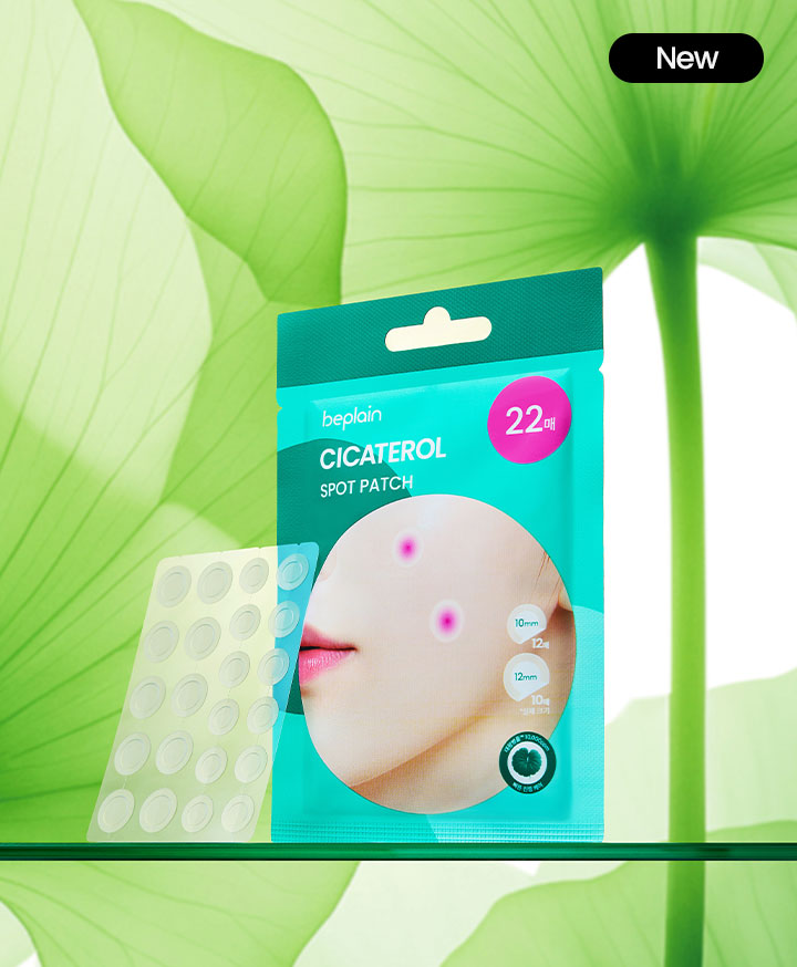 ��ī�׷� ������ġ 110��